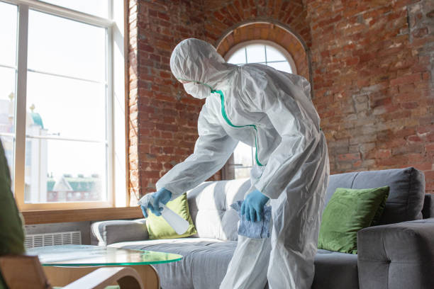 Best Mold Prevention Services in Montevideo, MN